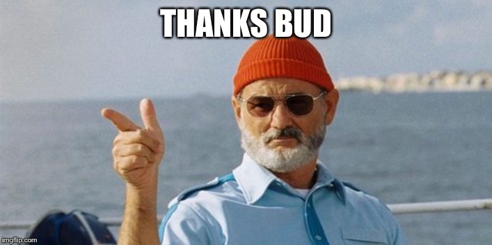 zissou-finger-gun | THANKS BUD | image tagged in zissou-finger-gun | made w/ Imgflip meme maker