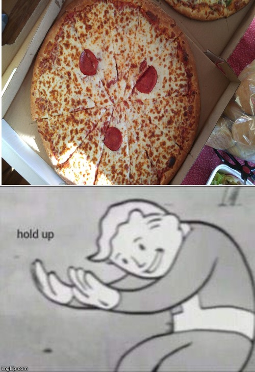 When you order pizza And they give you 3 pepperoni | image tagged in fallout hold up,pizza,you had one job | made w/ Imgflip meme maker