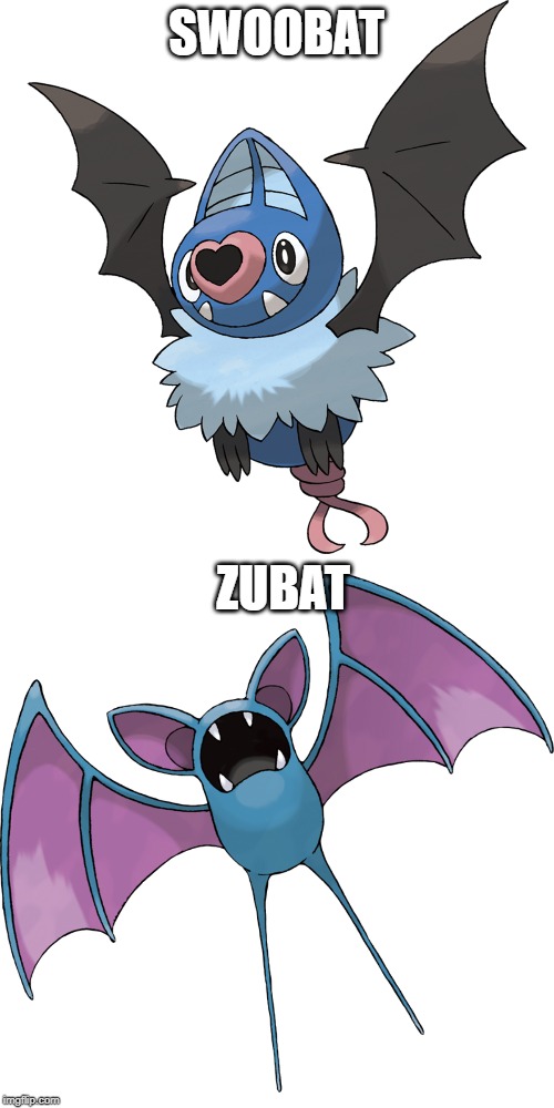 SWOOBAT ZUBAT | made w/ Imgflip meme maker