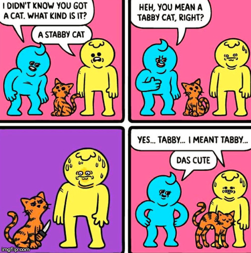 image tagged in cats | made w/ Imgflip meme maker