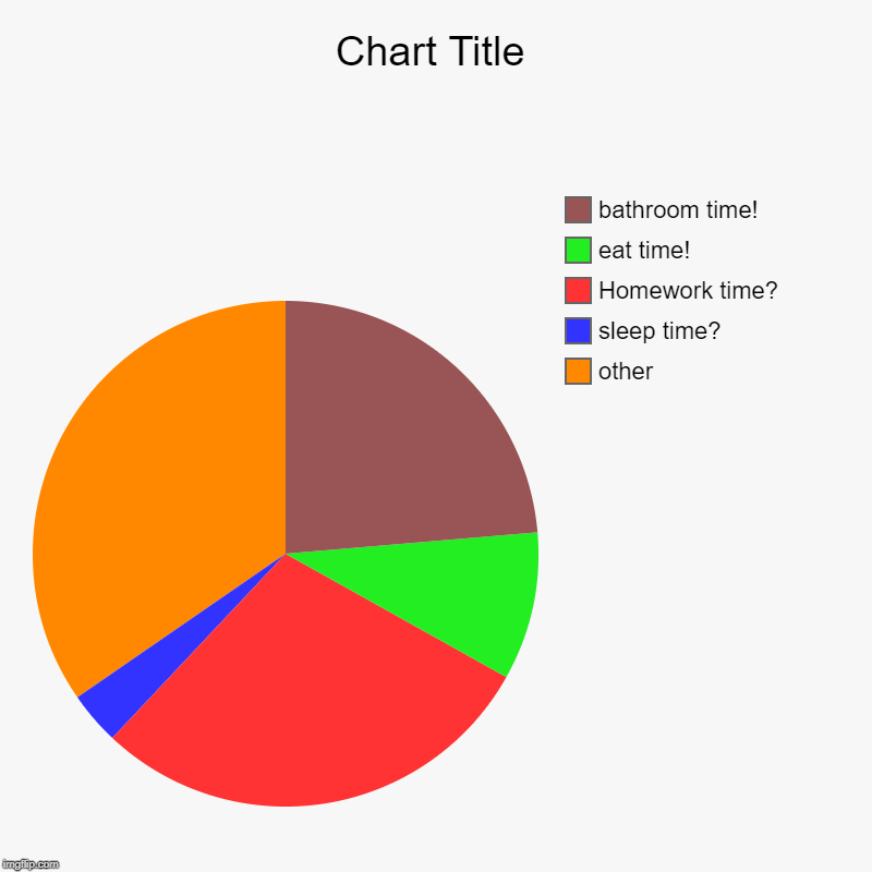 other, sleep time?, Homework time?, eat time!, bathroom time! | image tagged in charts,pie charts | made w/ Imgflip chart maker