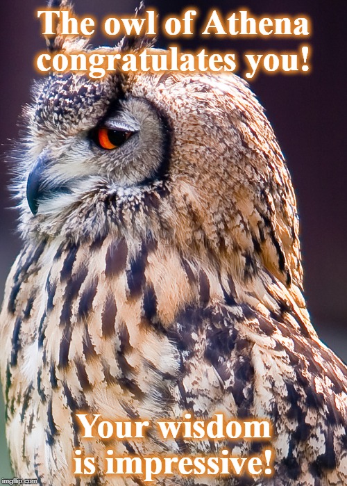 Proud Owl | The owl of Athena congratulates you! Your wisdom is impressive! | image tagged in proud owl | made w/ Imgflip meme maker