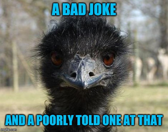 Bad News Emu | A BAD JOKE AND A POORLY TOLD ONE AT THAT | image tagged in bad news emu | made w/ Imgflip meme maker