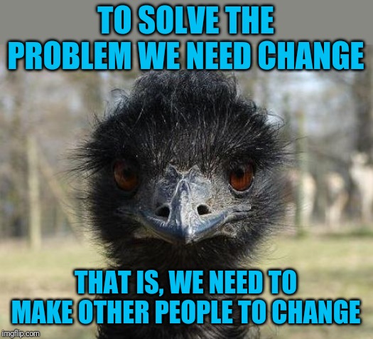 Bad News Emu | TO SOLVE THE PROBLEM WE NEED CHANGE THAT IS, WE NEED TO MAKE OTHER PEOPLE TO CHANGE | image tagged in bad news emu | made w/ Imgflip meme maker