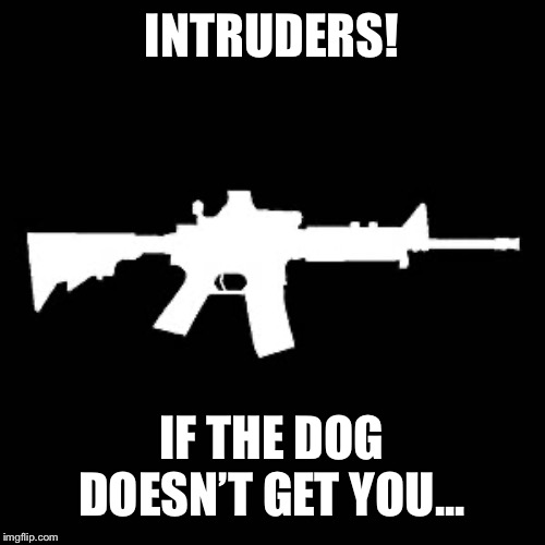 Intruders | INTRUDERS! IF THE DOG DOESN’T GET YOU... | image tagged in inteuders | made w/ Imgflip meme maker