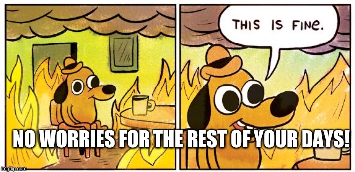 This Is Fine | NO WORRIES FOR THE REST OF YOUR DAYS! | image tagged in this is fine dog | made w/ Imgflip meme maker