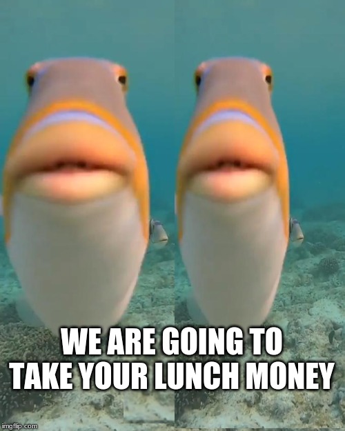 They are going to take your lunch money | WE ARE GOING TO TAKE YOUR LUNCH MONEY | image tagged in funny,funny memes,funny meme | made w/ Imgflip meme maker