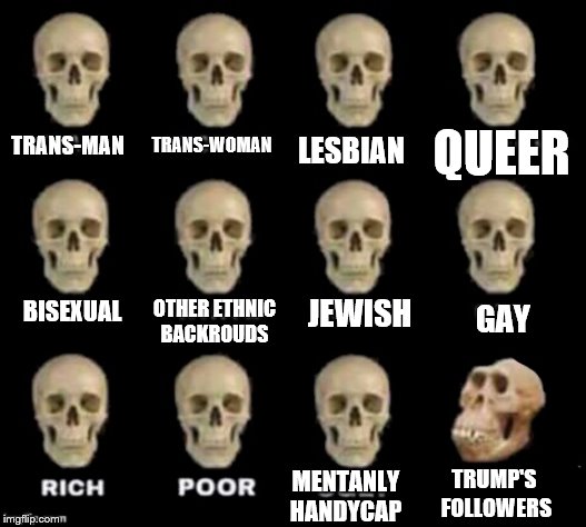 True | QUEER; TRANS-WOMAN; LESBIAN; TRANS-MAN; BISEXUAL; JEWISH; OTHER ETHNIC BACKROUDS; GAY; TRUMP'S
 FOLLOWERS; MENTANLY HANDYCAP | image tagged in idiot skull,donald trump,trump,lgbtq,jewish,poor people | made w/ Imgflip meme maker