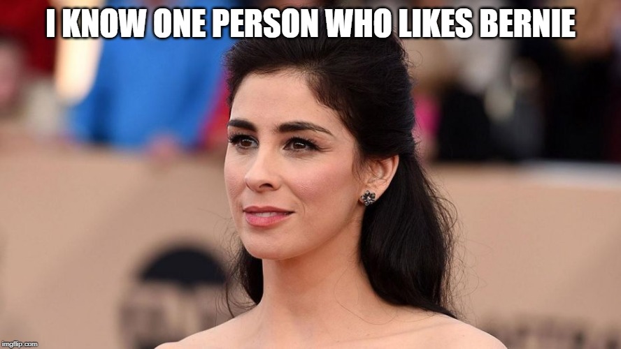 Sarah Silverman Thinking Liberal Thoughts | I KNOW ONE PERSON WHO LIKES BERNIE | image tagged in sarah silverman thinking liberal thoughts,bernie sanders,democrats,democratic primary,election 2020,hillary clinton | made w/ Imgflip meme maker