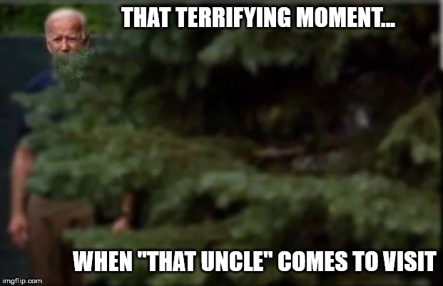Biden comes to visit | THAT TERRIFYING MOMENT... WHEN "THAT UNCLE" COMES TO VISIT | image tagged in creepy,creepy uncle joe,pedophile | made w/ Imgflip meme maker
