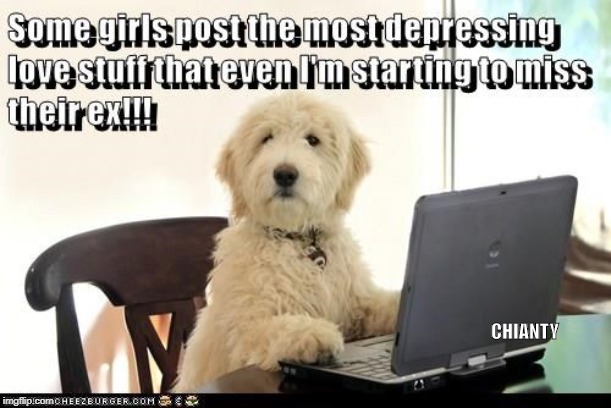 Some girls | CHIANTY | image tagged in love | made w/ Imgflip meme maker