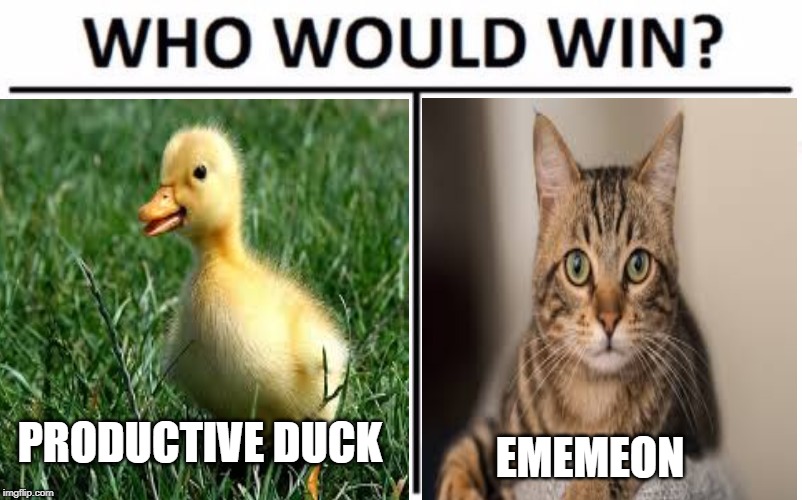 PRODUCTIVE DUCK; EMEMEON | image tagged in cats,ducks | made w/ Imgflip meme maker