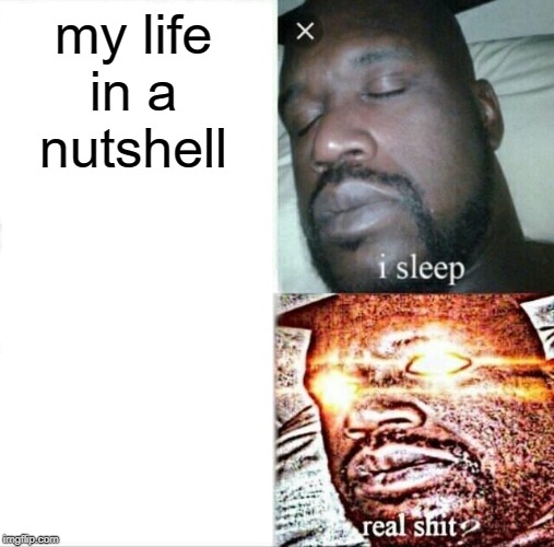 Sleeping Shaq | my life in a nutshell | image tagged in memes,sleeping shaq | made w/ Imgflip meme maker