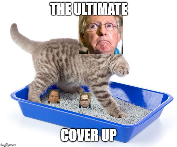 THE ULTIMATE; COVER UP | image tagged in trump impeachment | made w/ Imgflip meme maker