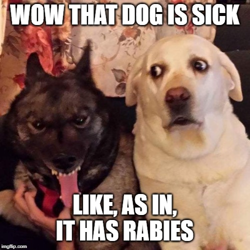 Rabid dog and freaked out friend | WOW THAT DOG IS SICK LIKE, AS IN, IT HAS RABIES | image tagged in rabid dog and freaked out friend | made w/ Imgflip meme maker