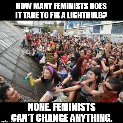 Rage Solves Nothing | HOW MANY FEMINISTS DOES IT TAKE TO FIX A LIGHTBULB? NONE. FEMINISTS CAN’T CHANGE ANYTHING. | image tagged in feminist rally | made w/ Imgflip meme maker
