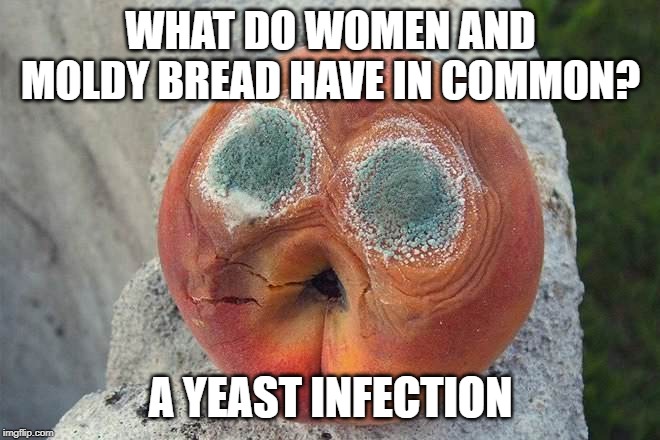 Nasty | WHAT DO WOMEN AND MOLDY BREAD HAVE IN COMMON? A YEAST INFECTION | image tagged in mold | made w/ Imgflip meme maker