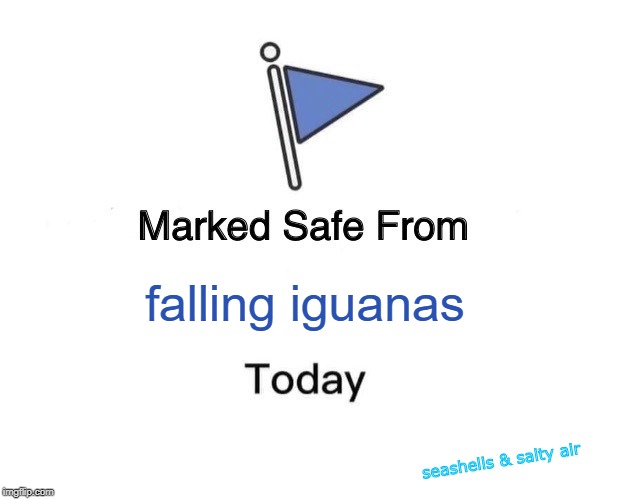Marked Safe From | falling iguanas; seashells & salty air | image tagged in memes,marked safe from,florida iguanas,winter,south florida | made w/ Imgflip meme maker