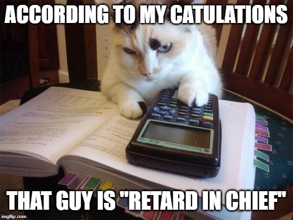 Math cat | ACCORDING TO MY CATULATIONS THAT GUY IS "RETARD IN CHIEF" | image tagged in math cat | made w/ Imgflip meme maker