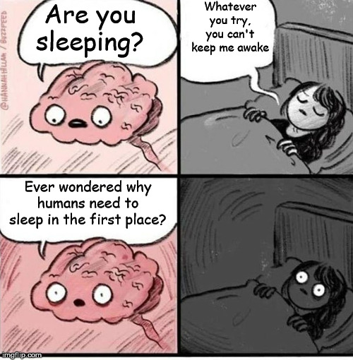Trying to sleep | Whatever you try, you can't keep me awake; Are you sleeping? Ever wondered why humans need to sleep in the first place? | image tagged in trying to sleep | made w/ Imgflip meme maker