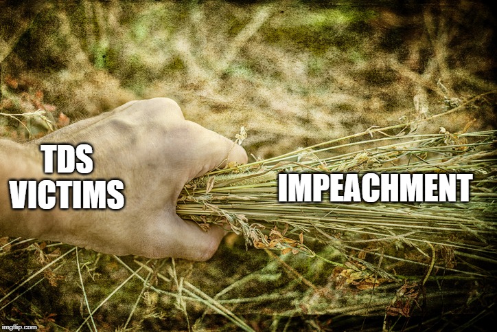 TDS VICTIMS IMPEACHMENT | made w/ Imgflip meme maker