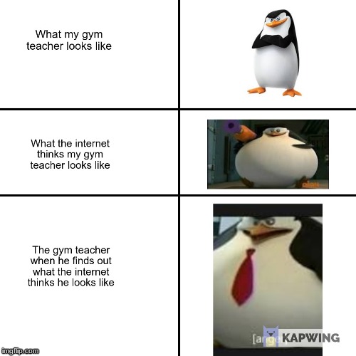 made using Kapwing | image tagged in anger,skipper | made w/ Imgflip meme maker