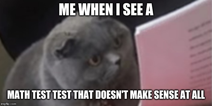 school meme | ME WHEN I SEE A; MATH TEST TEST THAT DOESN'T MAKE SENSE AT ALL | image tagged in confused | made w/ Imgflip meme maker