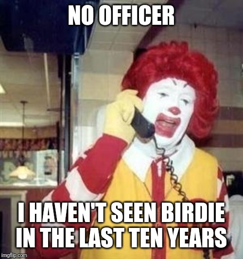 Ronald McDonald Temp | NO OFFICER I HAVEN'T SEEN BIRDIE IN THE LAST TEN YEARS | image tagged in ronald mcdonald temp | made w/ Imgflip meme maker
