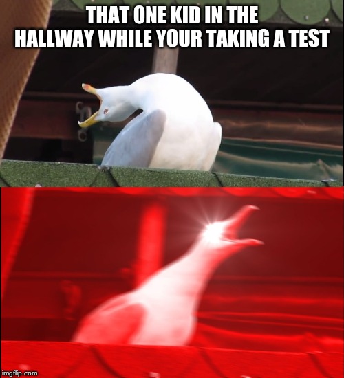 Screaming bird | THAT ONE KID IN THE HALLWAY WHILE YOUR TAKING A TEST | image tagged in screaming bird | made w/ Imgflip meme maker