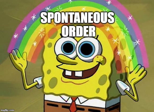 Imagination Spongebob Meme | SPONTANEOUS 
ORDER | image tagged in memes,imagination spongebob | made w/ Imgflip meme maker