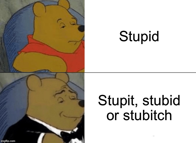Tuxedo Winnie The Pooh Meme | Stupid; Stupit, stubid or stubitch | image tagged in memes,tuxedo winnie the pooh | made w/ Imgflip meme maker