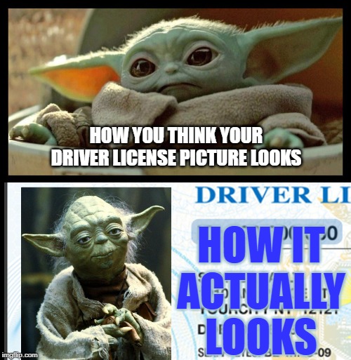 No comb that morning did I use? | HOW IT ACTUALLY LOOKS; HOW YOU THINK YOUR DRIVER LICENSE PICTURE LOOKS | image tagged in memes,driver license,photo,yoda,baby yoda | made w/ Imgflip meme maker