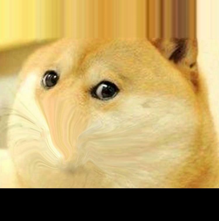 High Quality Doge No Mouth Blank Meme Template