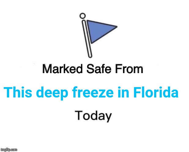 Marked Safe From | This deep freeze in Florida | image tagged in memes,marked safe from | made w/ Imgflip meme maker