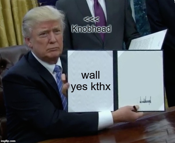 Trump Bill Signing Meme | <<< Knobhead; wall yes kthx | image tagged in memes,trump bill signing | made w/ Imgflip meme maker