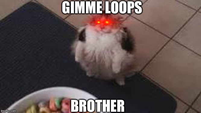 STONK | GIMME LOOPS; BROTHER | image tagged in memes | made w/ Imgflip meme maker