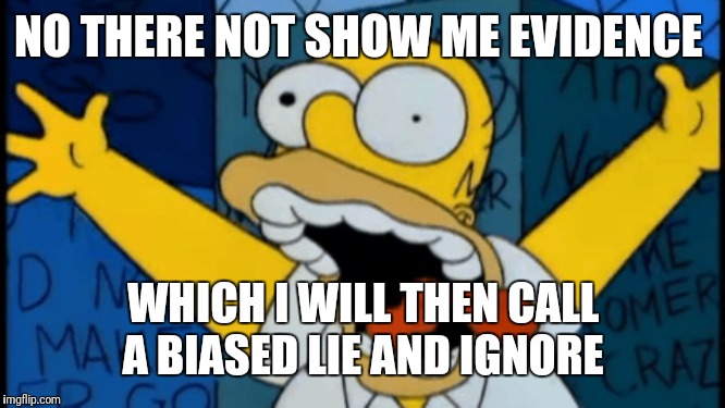 Homer crazy | NO THERE NOT SHOW ME EVIDENCE WHICH I WILL THEN CALL A BIASED LIE AND IGNORE | image tagged in homer crazy | made w/ Imgflip meme maker