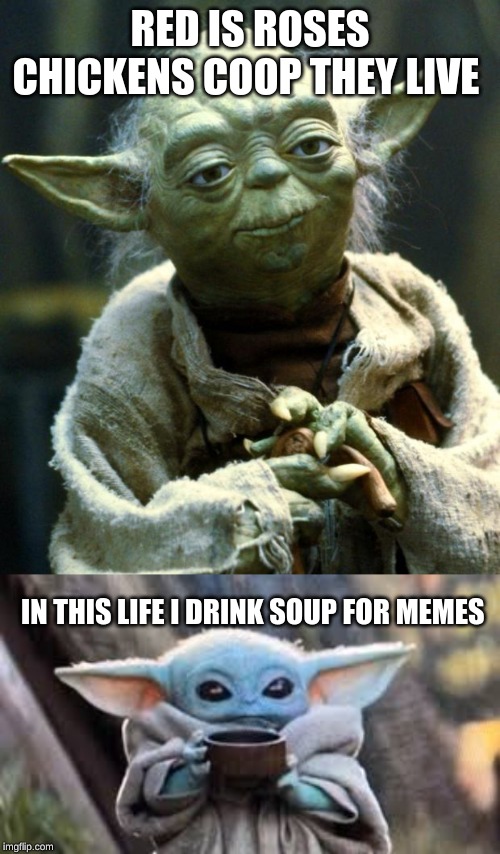 RED IS ROSES CHICKENS COOP THEY LIVE; IN THIS LIFE I DRINK SOUP FOR MEMES | image tagged in memes,star wars yoda | made w/ Imgflip meme maker