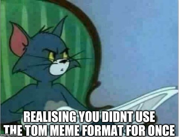 Interrupting Tom's Read | REALIZING YOU DIDN'T USE THE TOM MEME FORMAT FOR ONCE | image tagged in interrupting tom's read | made w/ Imgflip meme maker