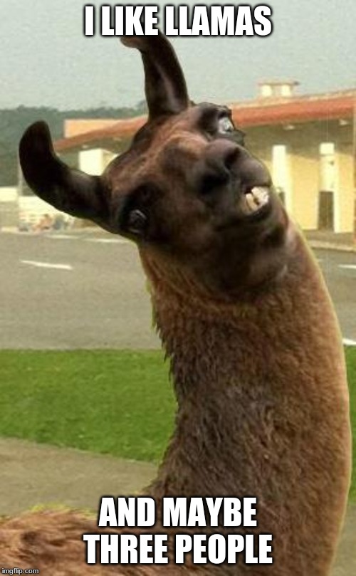 llama | I LIKE LLAMAS; AND MAYBE THREE PEOPLE | image tagged in llama,FreeKarma4U | made w/ Imgflip meme maker