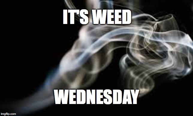 IT'S WEED; WEDNESDAY | image tagged in wednesday | made w/ Imgflip meme maker