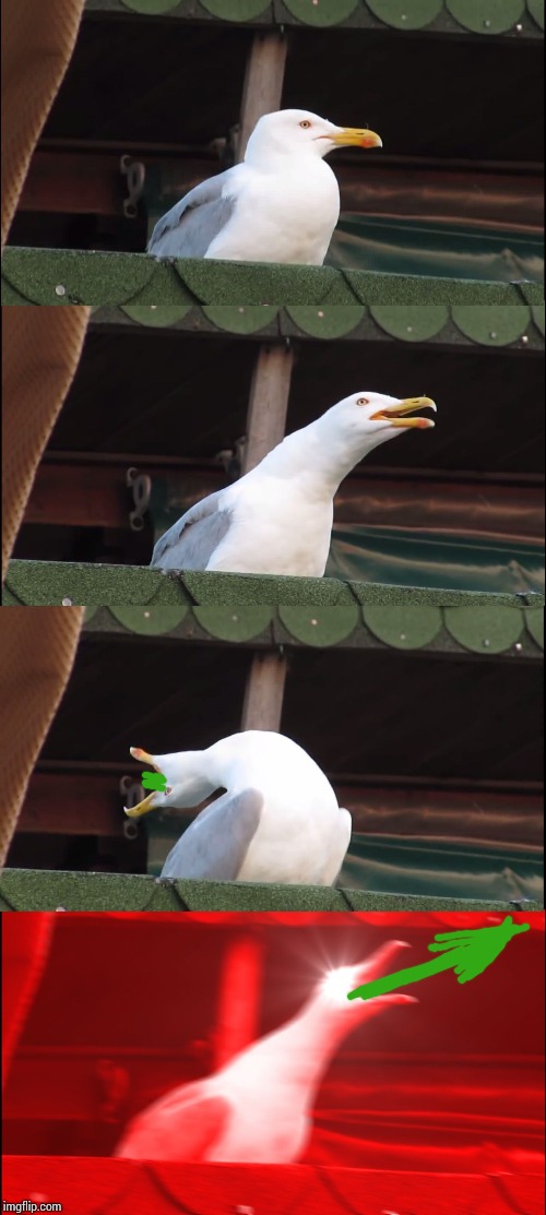 Inhaling Seagull Meme | image tagged in memes,inhaling seagull | made w/ Imgflip meme maker