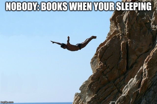 Jumping off a cliff | NOBODY: BOOKS WHEN YOUR SLEEPING | image tagged in jumping off a cliff | made w/ Imgflip meme maker