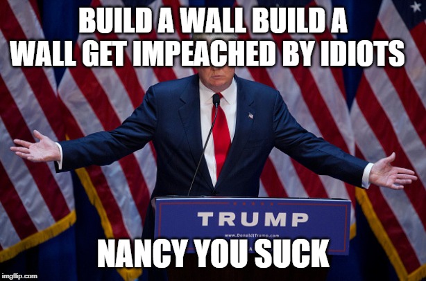 genius | BUILD A WALL BUILD A WALL GET IMPEACHED BY IDIOTS; NANCY YOU SUCK | image tagged in politics | made w/ Imgflip meme maker