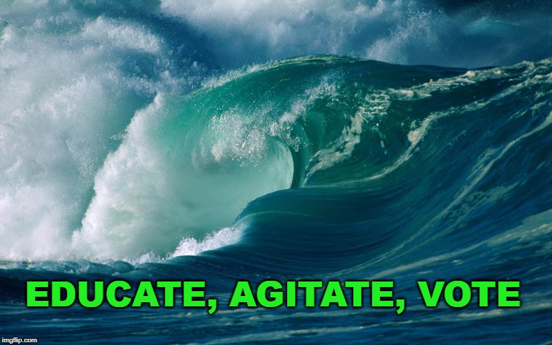 Educate, Agitate, VOTE | EDUCATE, AGITATE, VOTE | image tagged in donald trump,2020 elections,resistance | made w/ Imgflip meme maker
