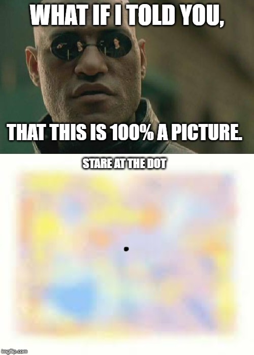WHAT IF I TOLD YOU, THAT THIS IS 100% A PICTURE. STARE AT THE DOT | image tagged in memes,matrix morpheus | made w/ Imgflip meme maker