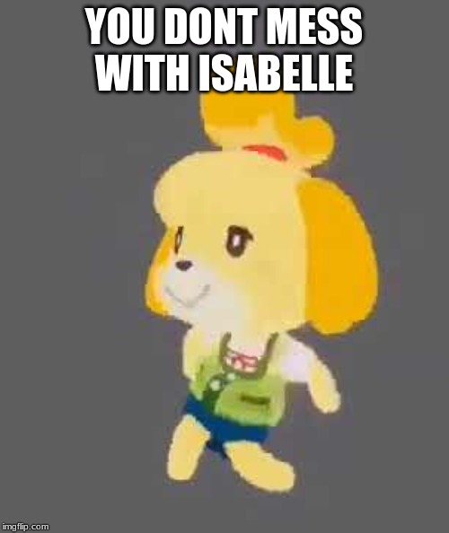 Isabella | YOU DONT MESS WITH ISABELLE | image tagged in isabella | made w/ Imgflip meme maker