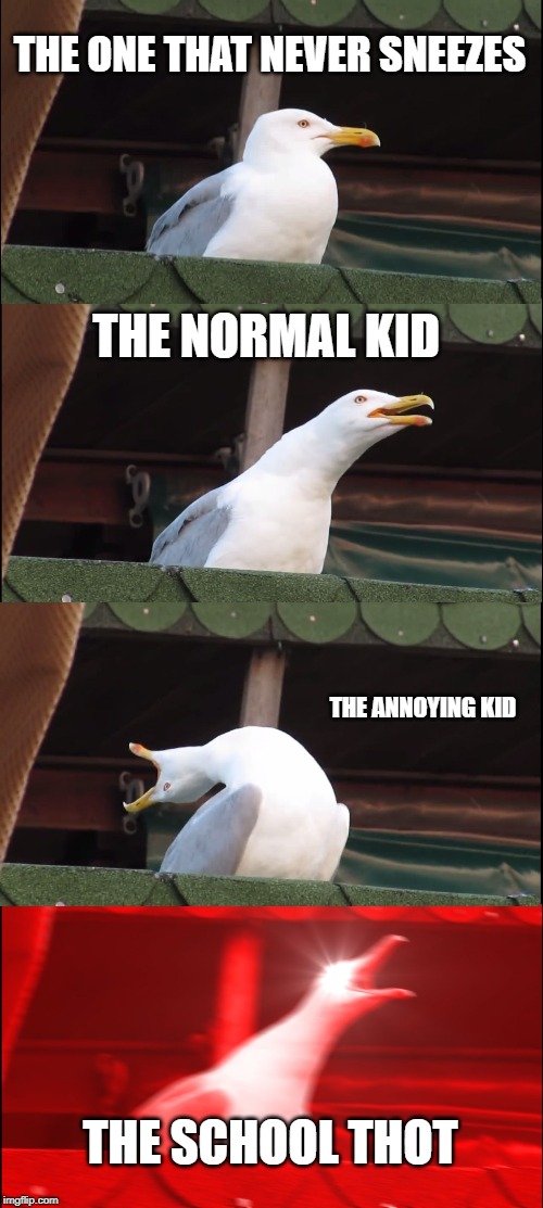 Crazy Bird | THE ONE THAT NEVER SNEEZES; THE NORMAL KID; THE ANNOYING KID; THE SCHOOL THOT | image tagged in memes,inhaling seagull | made w/ Imgflip meme maker