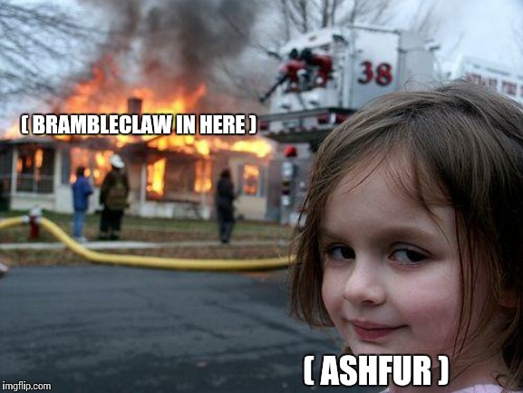 Disaster Girl | ( BRAMBLECLAW IN HERE ); ( ASHFUR ) | image tagged in memes,disaster girl | made w/ Imgflip meme maker