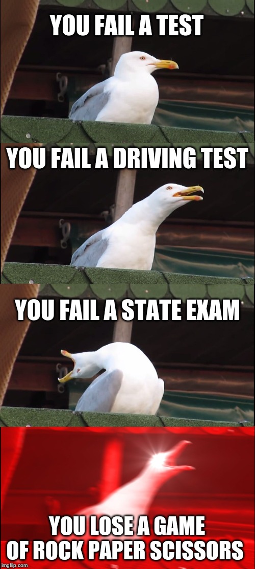 Inhaling Seagull | YOU FAIL A TEST; YOU FAIL A DRIVING TEST; YOU FAIL A STATE EXAM; YOU LOSE A GAME OF ROCK PAPER SCISSORS | image tagged in memes,inhaling seagull | made w/ Imgflip meme maker